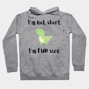 I'm Not Short I'm Fun Size Hoodie